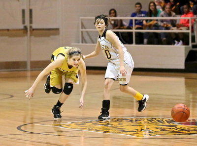 Image: Halee Turner(5) tries to create a steal for the Lady Gladiators.