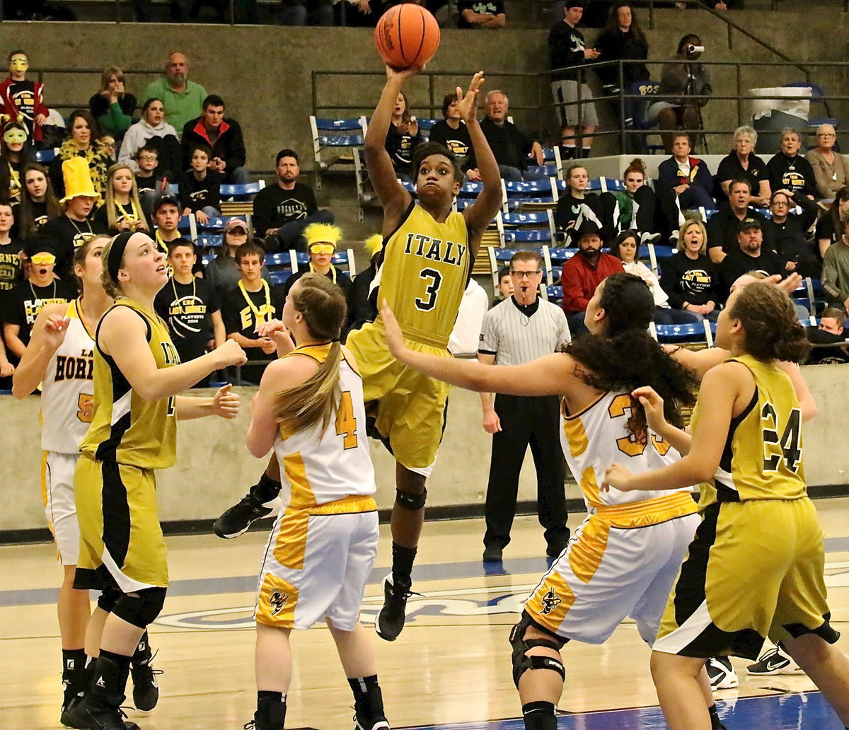 Image: Kortnei Johnson(3) climbs up to put in a shot over the Lady Hornets with teammates Jaclynn Lewis(13) and Vanessa Cantu(24) vying for the rebound.