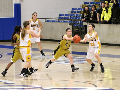 Image: Lady Gladiator Tara Wallis(4) goes for the steal.