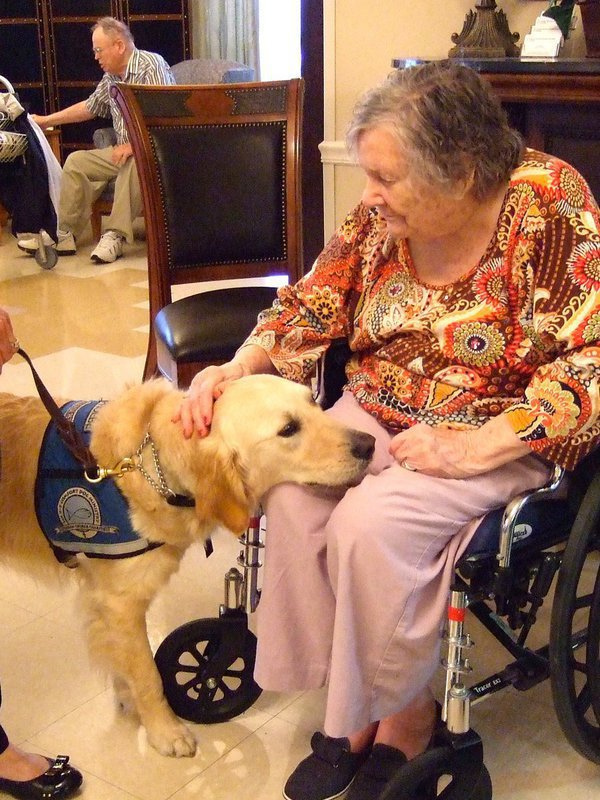 Image: Trinity Mission resident is loving Phoebe the dog of comfort.