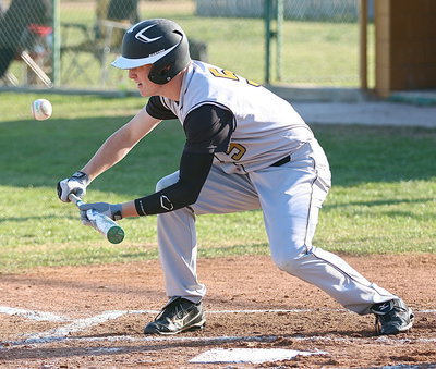 Image: Cody Boyd(5) tries to lay down a bunt for the Gladiators.