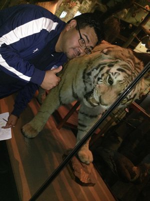 Image: Perez’s gives an approving thumbs up next to a tiger in the jungle exhibit at the museum.