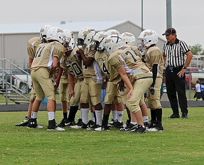 Image: A-team Gladiator quarterback Creighton Hyles(11) relays the play call to his teammates.