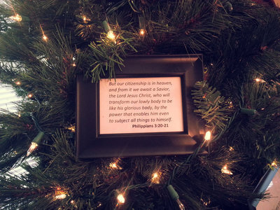 Image: Beautiful Christmas Tree at Trinity Mission