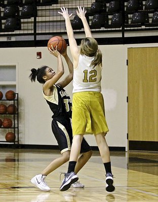 Image: Hannah Haight(12) denies Hubbard an easy look at the basket.