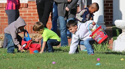 Image: The great Easter egg hunt continues.
