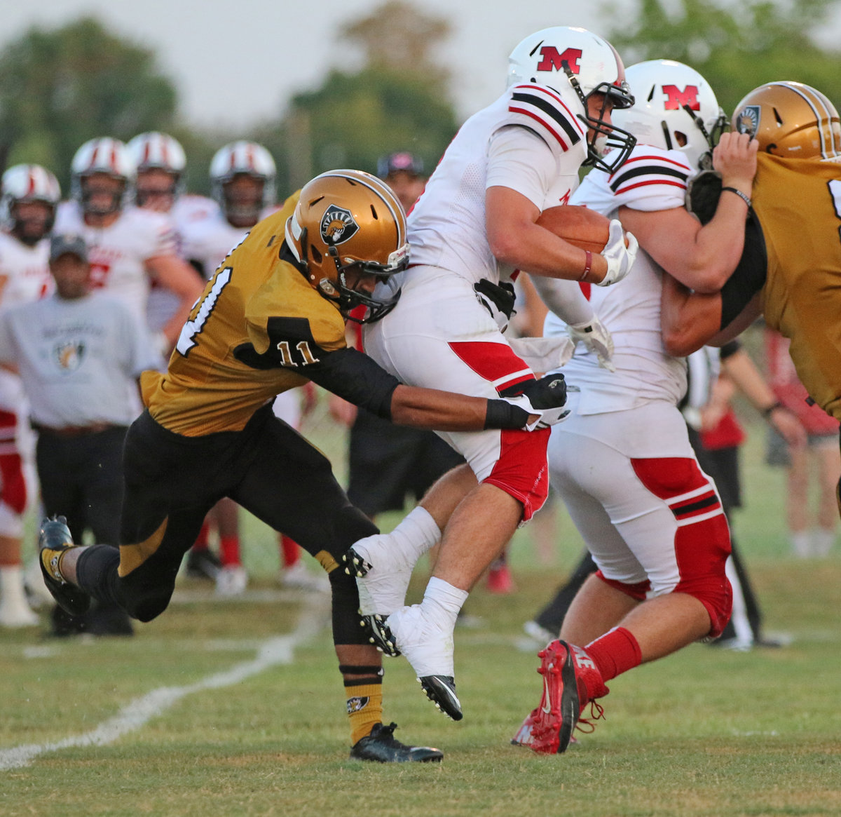 Image: Gladiator defender Fabian Cortez(11) catches a Panther by the tail.