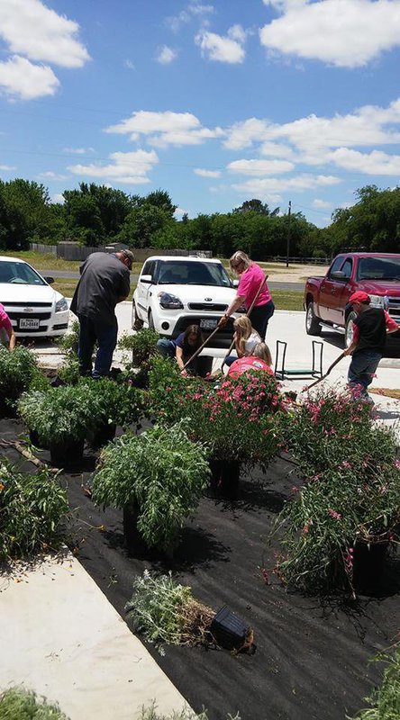 Image: Several volunteers helped plant shrubs at the Italy Fire Department.